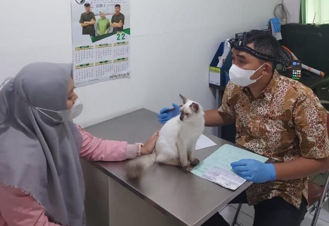 
					UPTD Klinik Hewan Kota Bandung Jalan Pelindung Hewan memberikan layanan pemeriksaan hewan gratis. Pemilik hewan peliharaan dapat mendaftarkannya secara online.